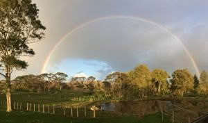 Peacemakers Rainbow